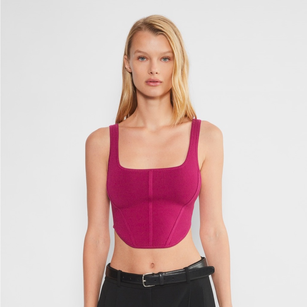 Babaton Sculpt Knit Bustier